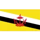 Logo Brunei Darussalam