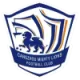 Logo Cangzhou Mighty Lions Football Club